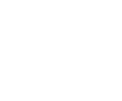 company-1-avid