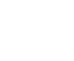 company-14-indigo