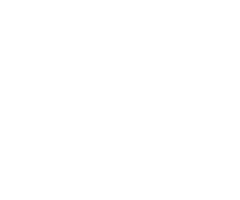 company-15-inter