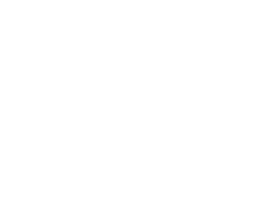 company-17-regent
