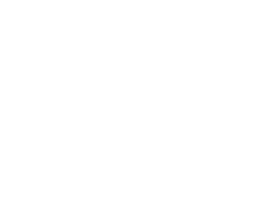 company-20-voco